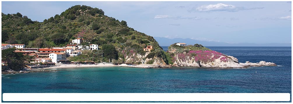 Sant'Andrea, Elba