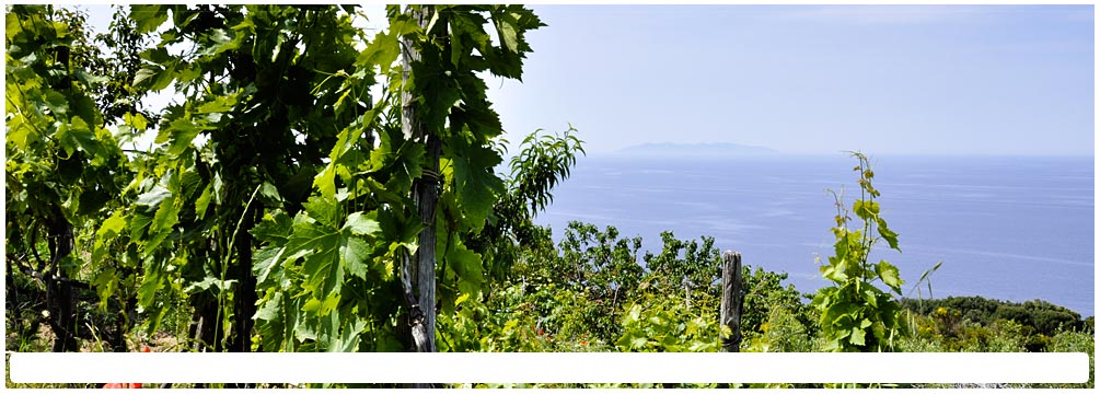 Appartamenti Casa Vai, Sant'Andrea, Elba