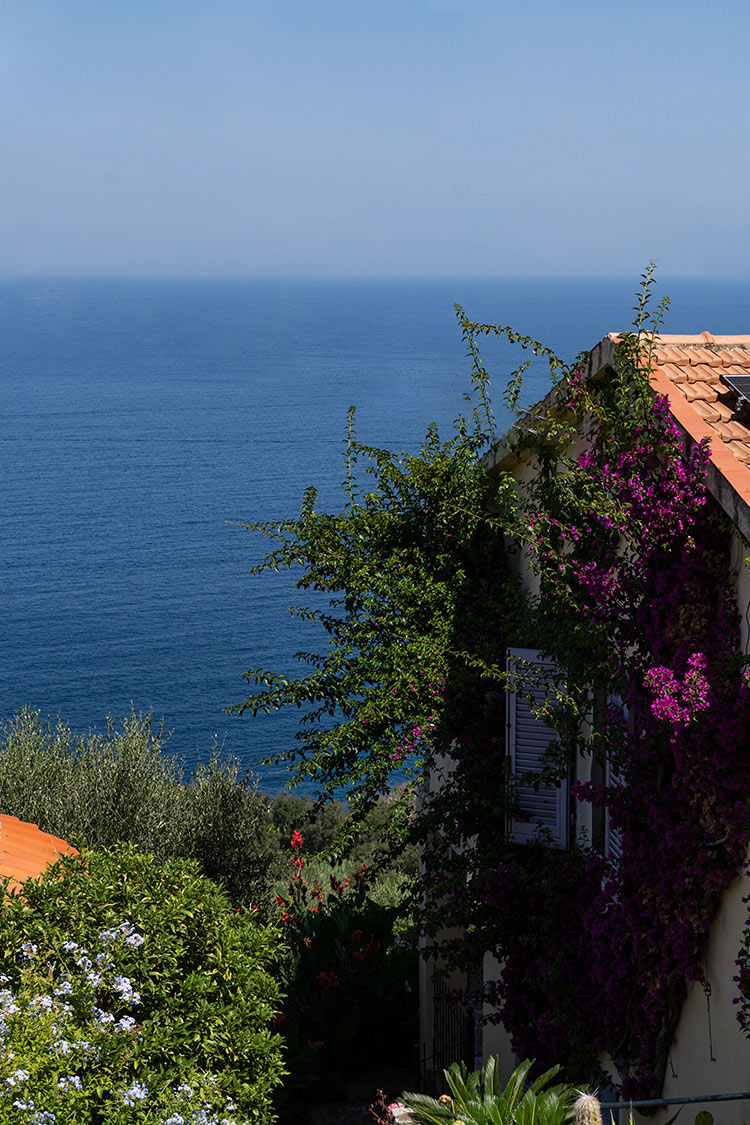Girsasole – Casa Vai – Agriturismo Isola d’Elba18