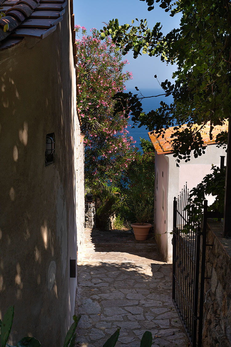 Girsasole – Casa Vai – Agriturismo Isola d’Elba2